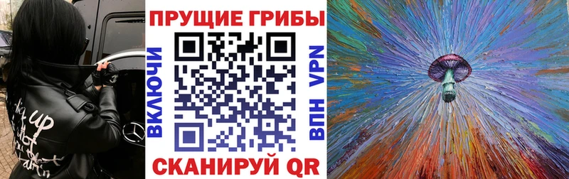купить  цена  Катайск  Псилоцибиновые грибы прущие грибы 